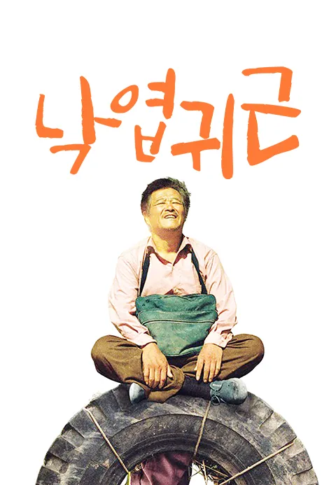 낙엽귀근