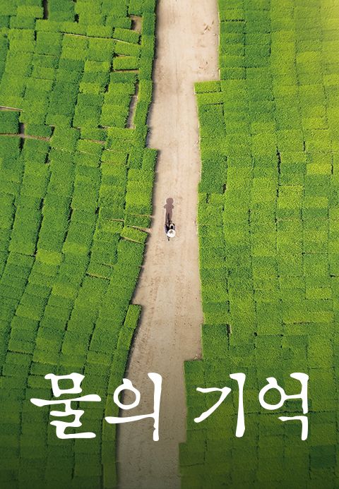 물의 기억