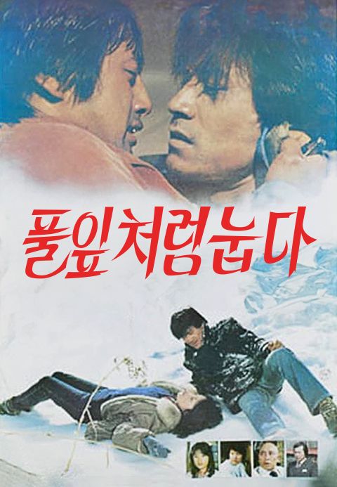 풀잎처럼 눕다 | TVING