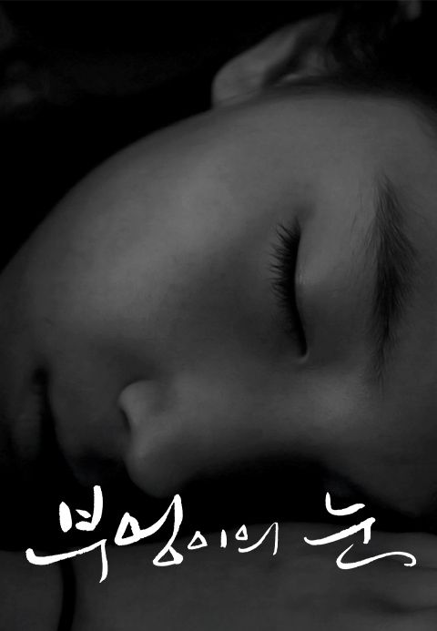 부엉이의 눈