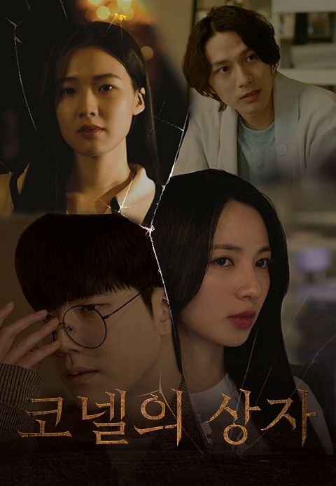 코넬의 상자