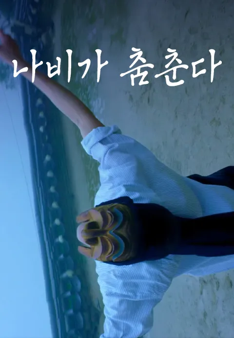 나비가 춤춘다