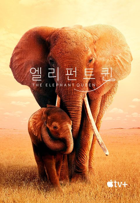 '엘리펀트 퀸' - The Elephant Queen