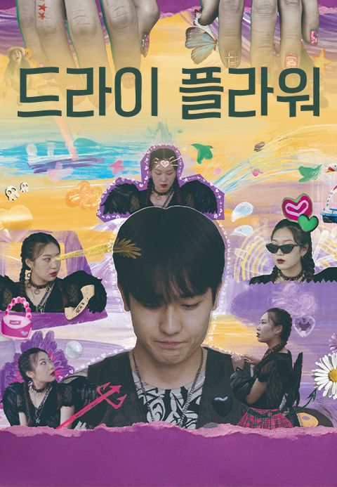드라이 플라워