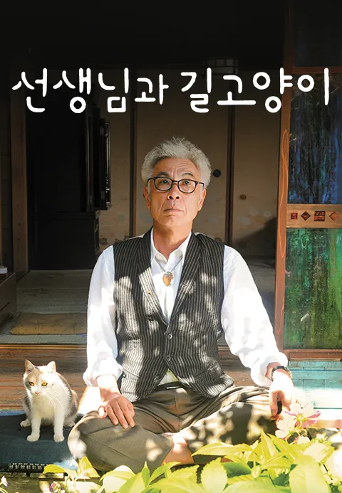 선생님과 길고양이