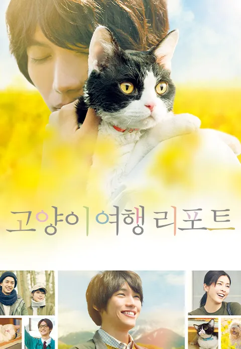 고양이 여행 리포트