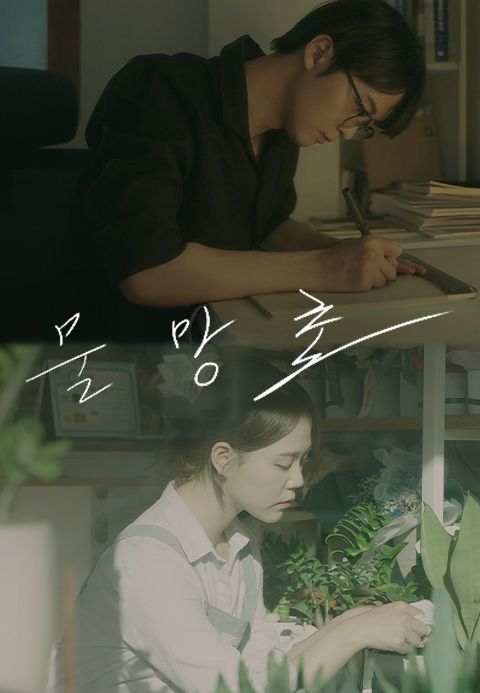 [판매종료] 물망초