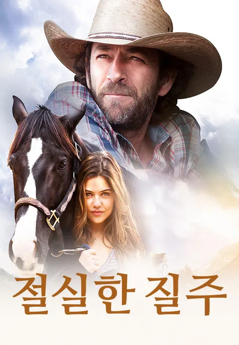 절실한 질주