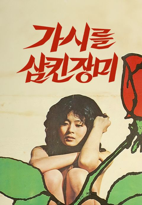 가시를 삼킨 장미