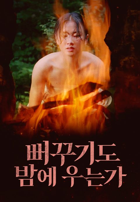 뻐꾸기도 밤에 우는가