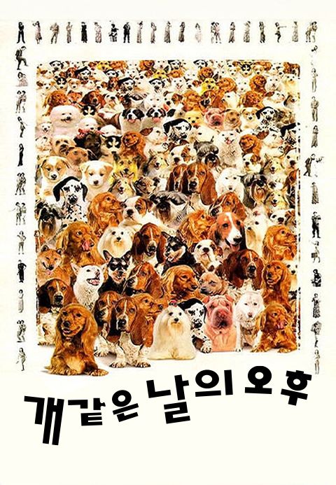 개같은 날의 오후