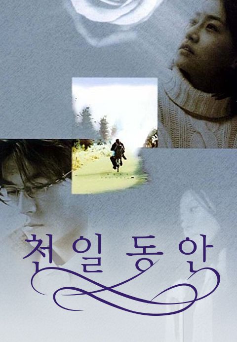 천일동안