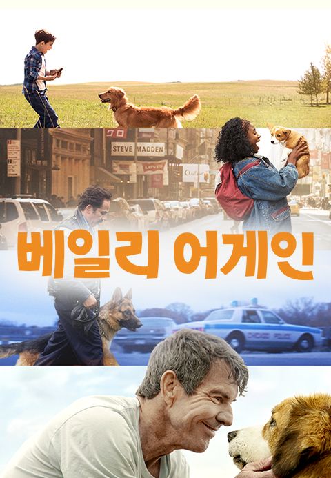 베일리 어게인