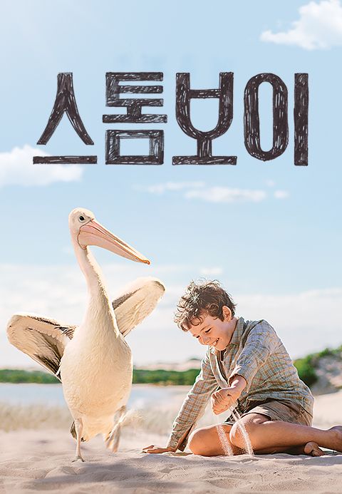 스톰보이