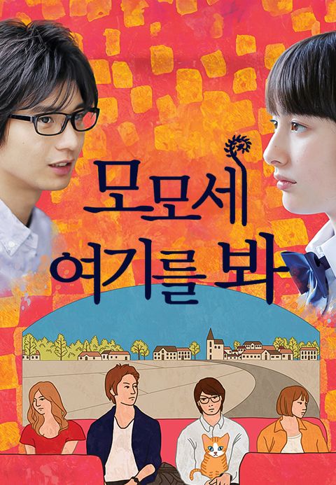 모모세, 여기를 봐