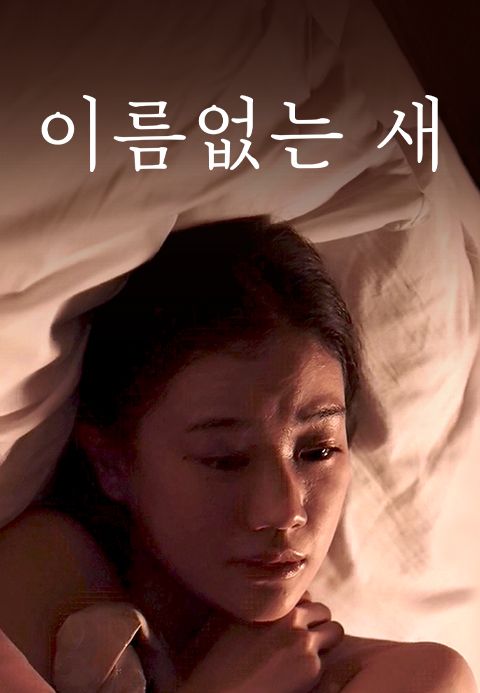 이름없는 새