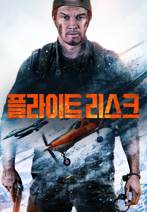 플라이트 리스크