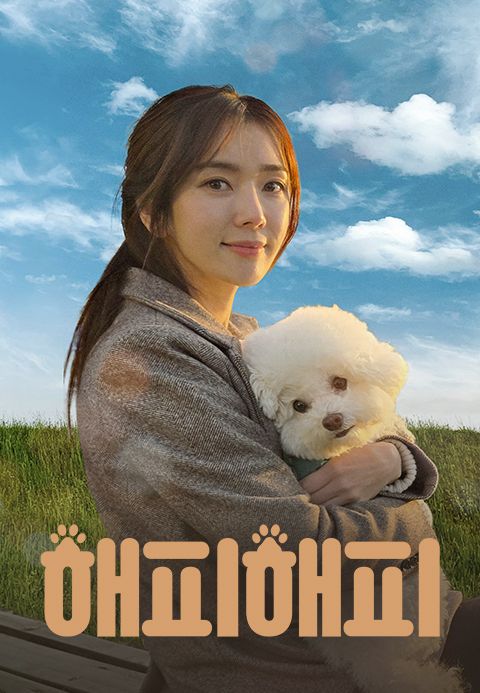해피해피