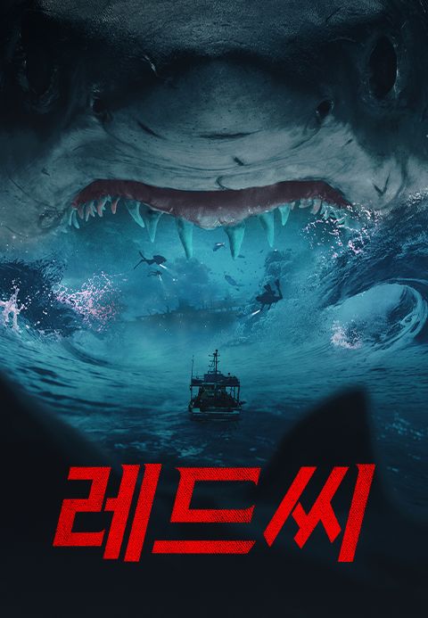 레드 씨