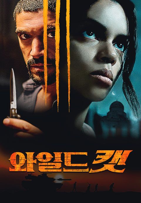 와일드캣
