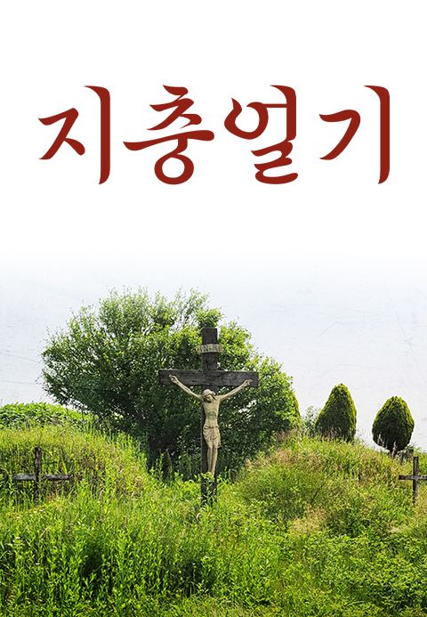 지충일기