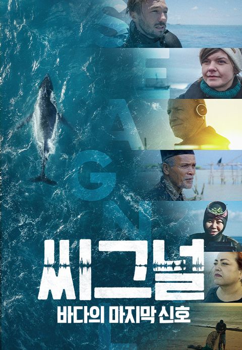 씨그널: 바다의 마지막 신호