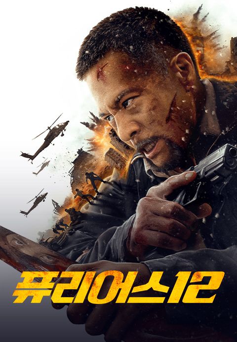퓨리어스 12