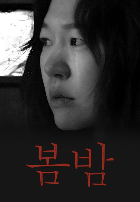 봄밤