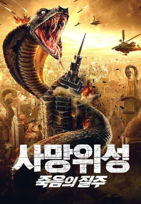 사망위성:죽음의 질주