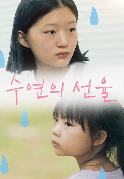 수연의 선율