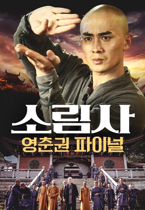 소림사: 영춘권 파이널
