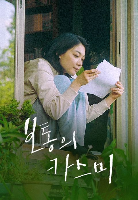 보통의 카스미