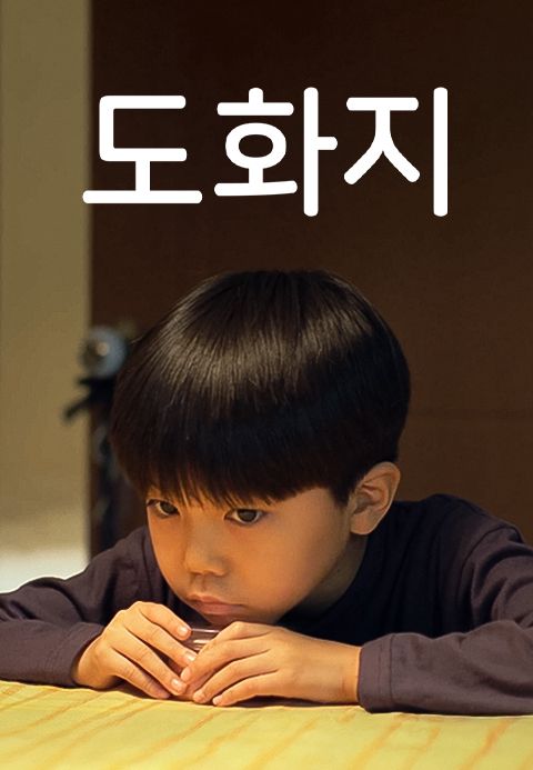 도화지