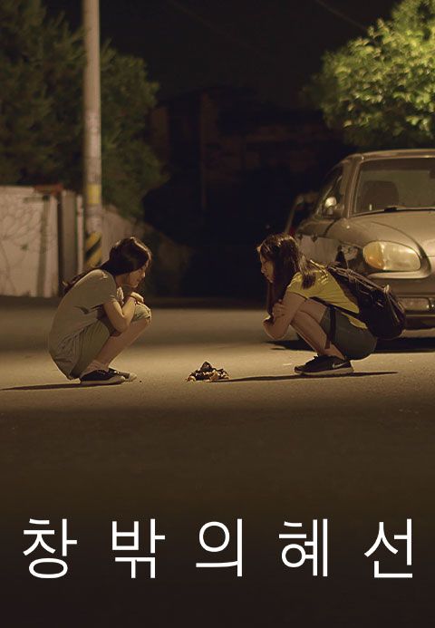 창밖의 혜선