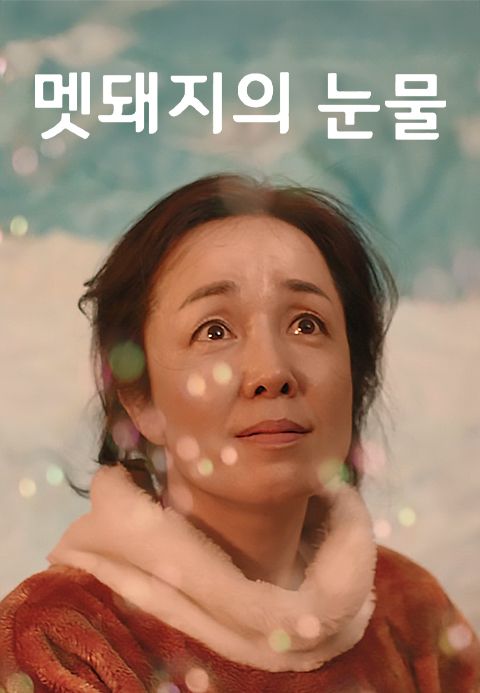 멧돼지의 눈물