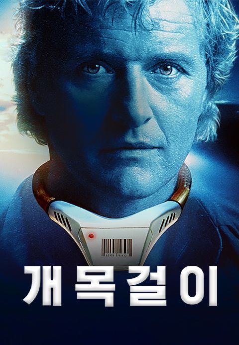 개목걸이