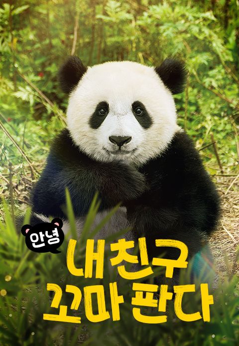 안녕, 내 친구 꼬마 판다