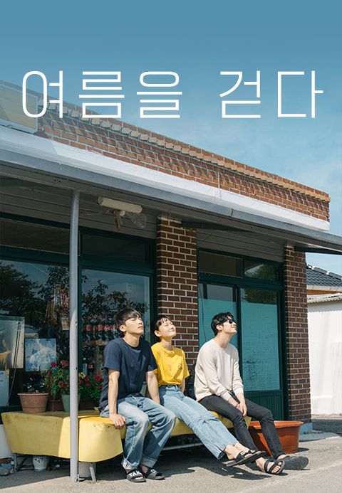 여름을 걷다