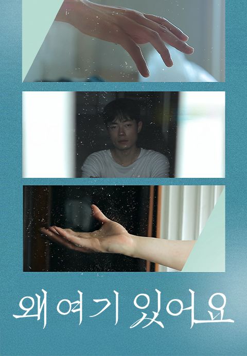 왜 여기 있어요