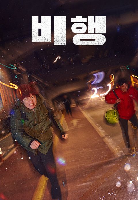 비행