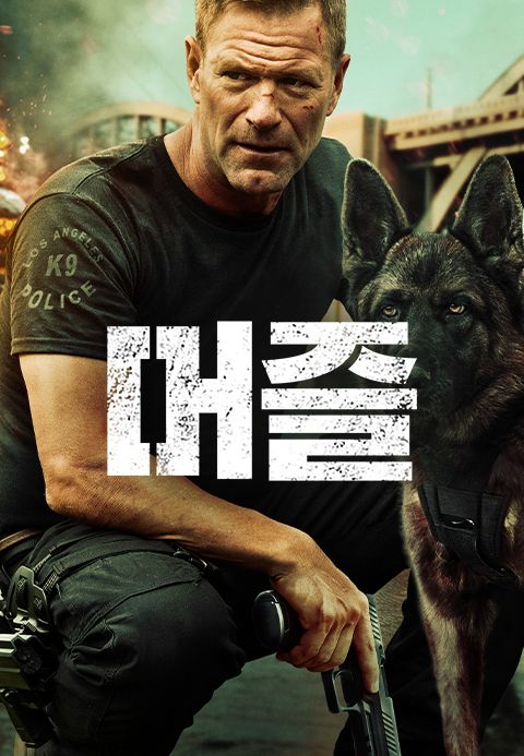 머즐