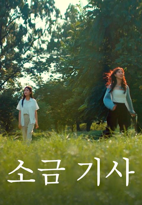 소금 기사