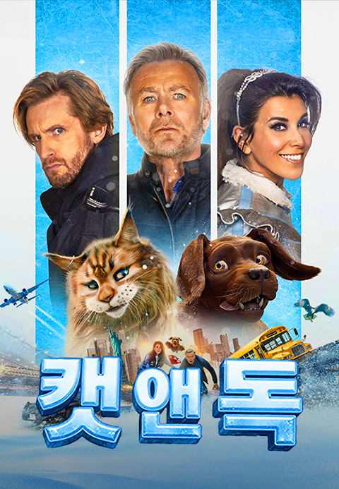 캣 앤 독