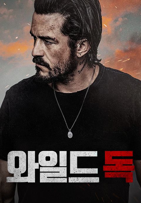 와일드독