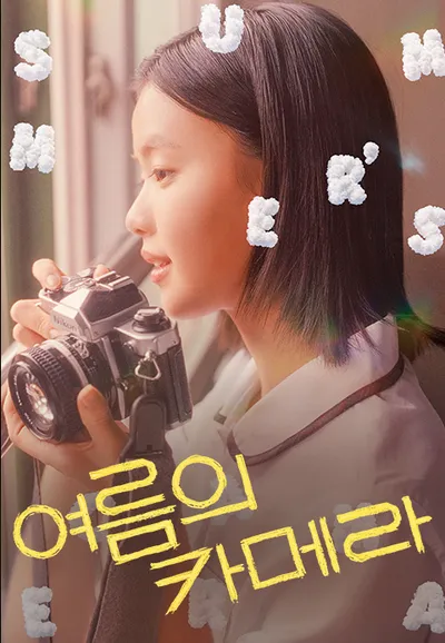 여름의 카메라