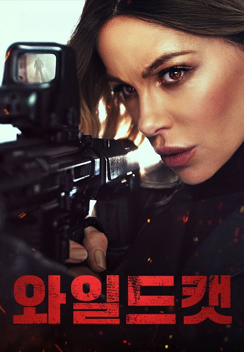와일드캣