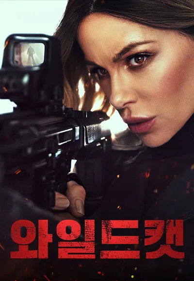 와일드 캣
