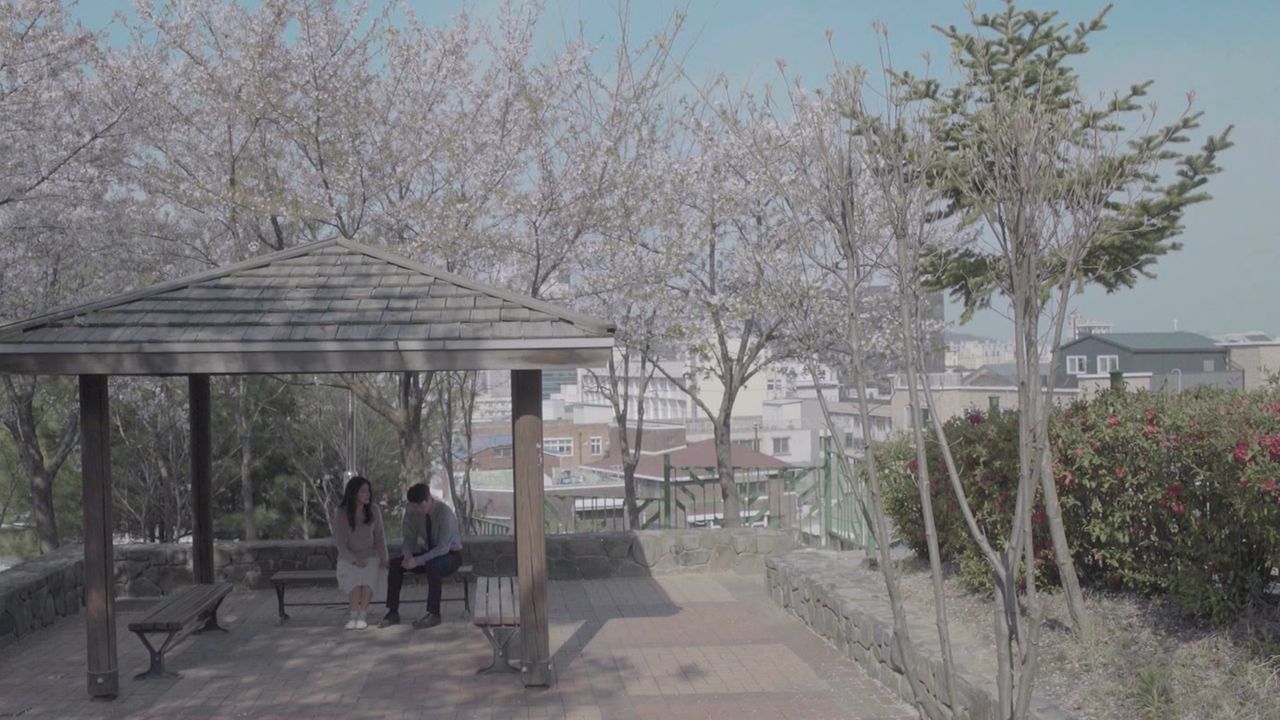 봄이 지나가면