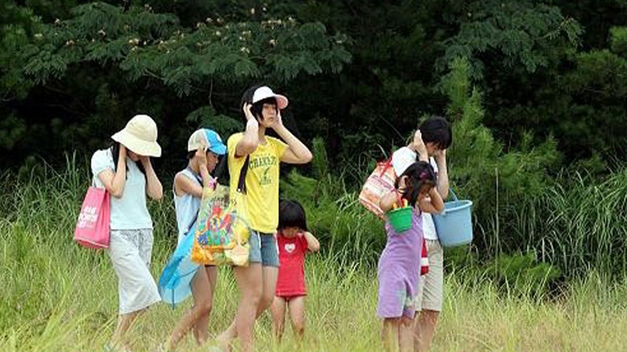 마을에 부는 산들바람