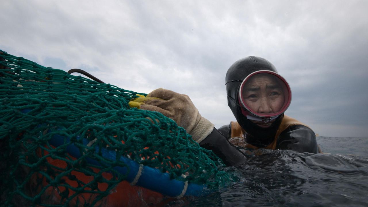 '마지막 해녀들' - The Last of the Sea Women